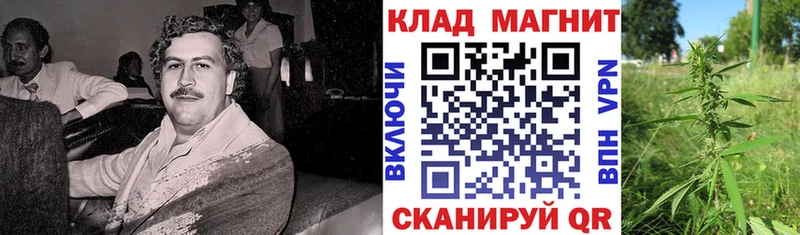 Где купить наркоту Чаплыгин Бошки Шишки mega зеркало СОЛЬ ГАШИШ КОКАИН АМФ