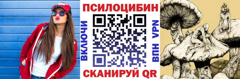 Псилоцибиновые грибы мицелий  Чаплыгин 