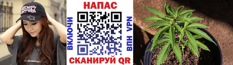 Бошки Шишки Ganja  Чаплыгин 